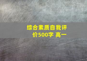 综合素质自我评价500字 高一